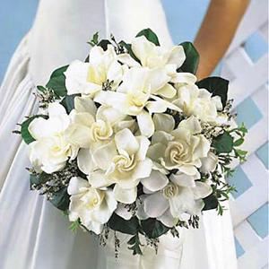 Phillip's Flowers & Gifts - Lombard, IL