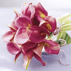 Phillip's Flowers & Gifts - Lombard, IL