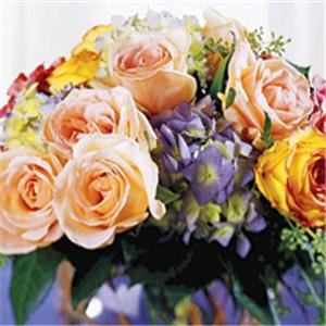 Phillip's Flowers & Gifts - Downers Grove, IL