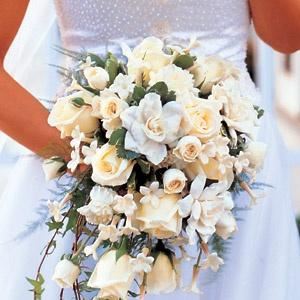 Phillip's Flowers & Gifts - Downers Grove, IL