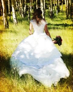 Autumn Twilight Photography