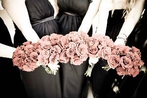 Rachel Rose Photography