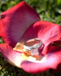 Rachel Rose Photography