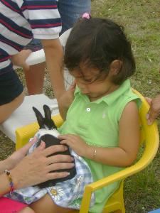 Cock-A-Doodle-Doo Petting Zoo - Miami