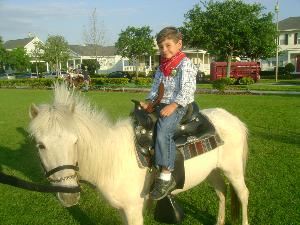 Cock-A-Doodle-Doo Petting Zoo - Okeechobee