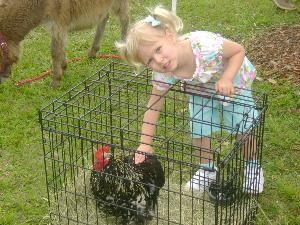 Cock-A-Doodle-Doo Petting Zoo - Okeechobee