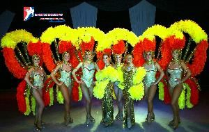 Rosstyn Ice Shows and Rink Designs, Inc.