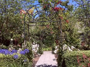 Seattle Wedding Officiants