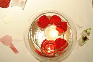 L.S.J. Wedding/ Event Coordinator