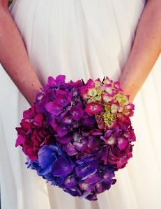 Blue Lily Event Planning