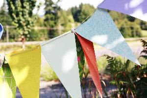 Blue Lily Event Planning