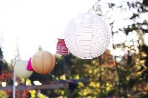 Blue Lily Event Planning