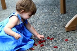 Be Still Photography