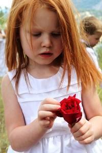 Be Still Photography