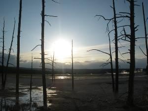 Be Still Photography