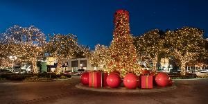 John Hudson Photography