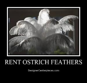 Designer Centerpieces