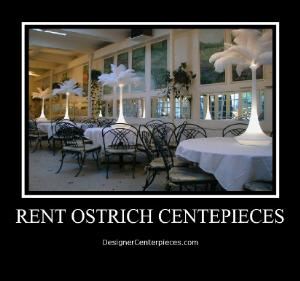 Designer Centerpieces