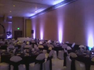 Custom Call Productions