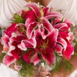 Glamorous Occasions-Grand Canyon