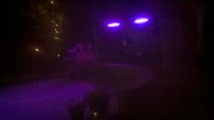 DJ Marty Entertainment