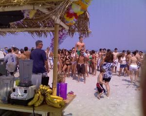 Maui Wowi Hawaiian Coffees & Smoothies + Espresso - Specialty Beverage Catering