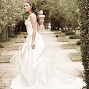 Digital Moving Images llc