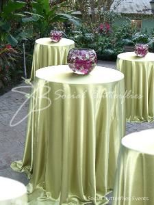 A Social Butterflies Events Incorporated