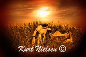 Kurt Nielsen Photography