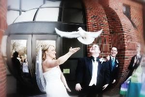 Kurt Nielsen Photography - Toledo