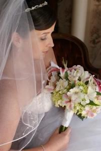 Bonnie Clinton Photography