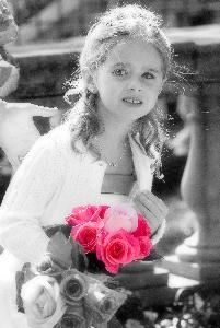 Bradley Leeb Photography