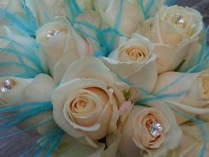 Fifty Point Flowers - Niagara Falls