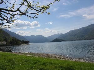 The Event Group International