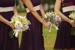 Iannelli Photography