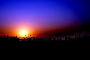 Iannelli Photography