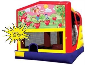 Monkey Moe's Party Rentals