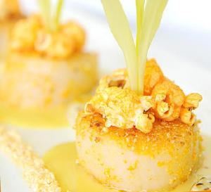 VIP Chef Services & Catering