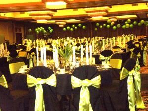 Ellen's Chair Covers