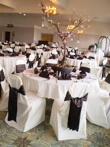 Ellen's Chair Covers