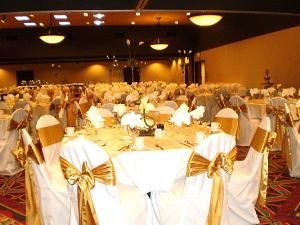 Ellen's Chair Covers