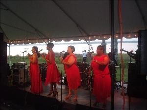 Johnny White & The Elite Band