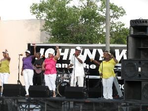Johnny White & The Elite Band