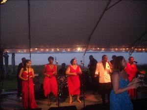 Johnny White & The Elite Band