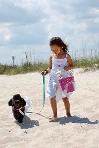 Billy Beach Photography