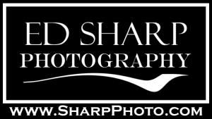 Ed Sharp Photography