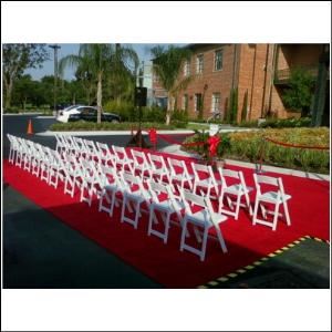 The Phoenix Design Group