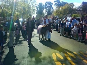 Pony Rides by Nancy & Petting Zoo