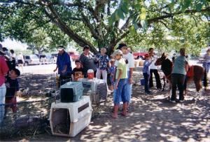 Pony Rides by Nancy & Petting Zoo