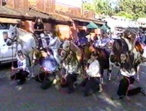 Pony Rides by Nancy & Petting Zoo